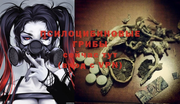 героин Алексин