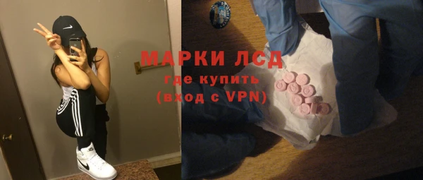 прущие грибы Алзамай