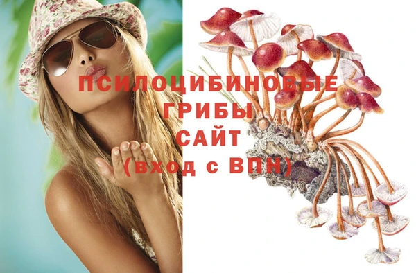 героин Алексин