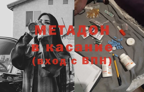 прущие грибы Алзамай