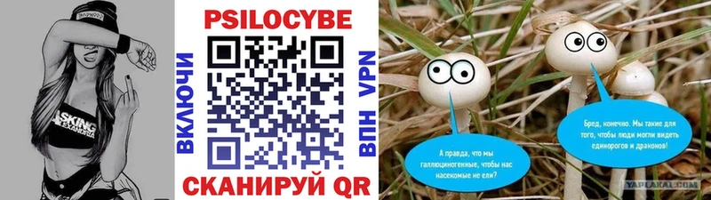 Псилоцибиновые грибы Psilocybe  где найти   Коркино 