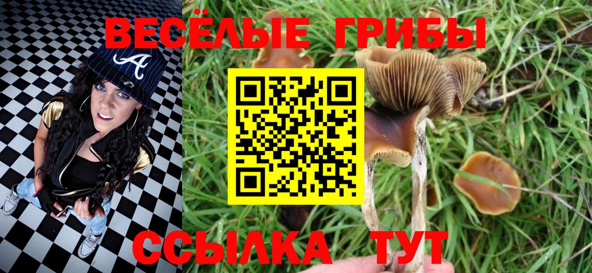 Галлюциногенные грибы GOLDEN TEACHER Коркино