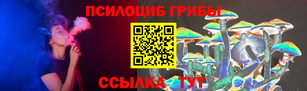 Псилоцибиновые грибы Psilocybine cubensis  Вход с VPN  Коркино 